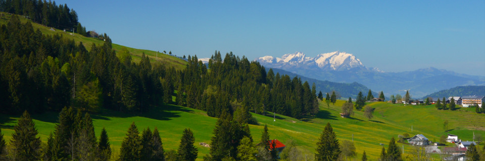 allgäu yoga wandern