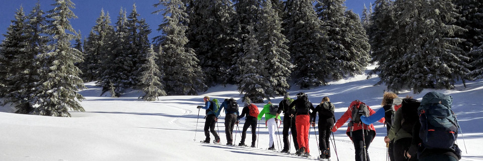 yoga snowshoe schneeschuh wandern ciaspole