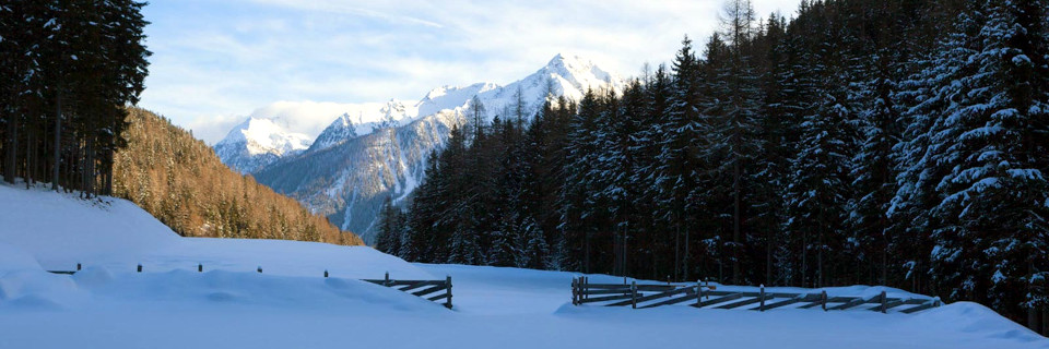 yoga snowshoe schneeschuh wandern ciaspole